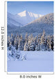 Winter Scenic Of Snowcovered Spruce Trees And The Chugach Mountains Wall Mural