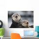 Close Up View Of Sea Otters Huddled Together Wall Mural