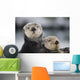 Close Up View Of Sea Otters Huddled Together Wall Mural