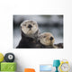 Close Up View Of Sea Otters Huddled Together Wall Mural