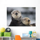 Close Up View Of Sea Otters Huddled Together Wall Mural