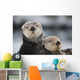 Close Up View Of Sea Otters Huddled Together Wall Mural