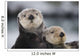 Close Up View Of Sea Otters Huddled Together Wall Mural