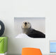 Close Up View Of A Sea Otter Hauled Out On Snow Wall Mural