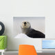 Close Up View Of A Sea Otter Hauled Out On Snow Wall Mural