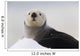 Close Up View Of A Sea Otter Hauled Out On Snow Wall Mural