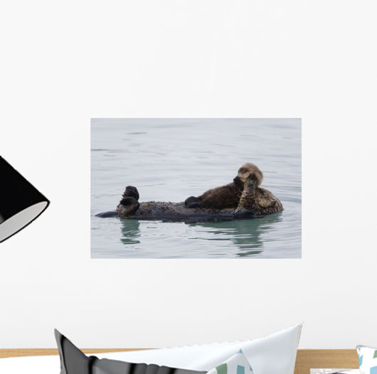 Female Sea Otter Holds Newborn Pup While Floating Wall Mural
