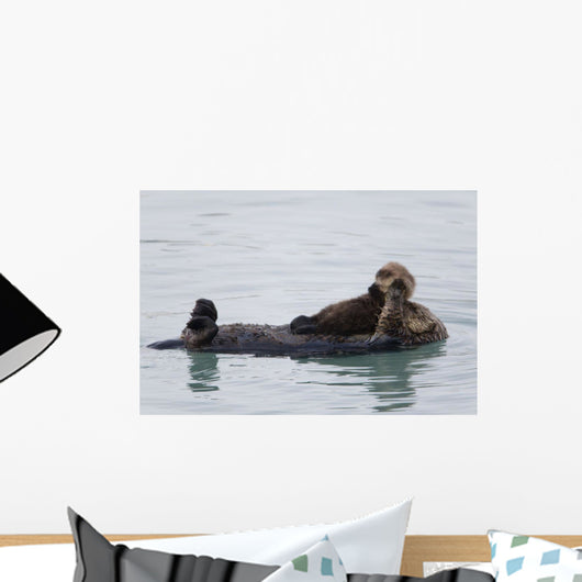 Female Sea Otter Holds Newborn Pup While Floating Wall Mural