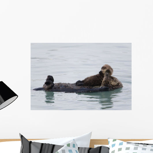 Female Sea Otter Holds Newborn Pup While Floating Wall Mural