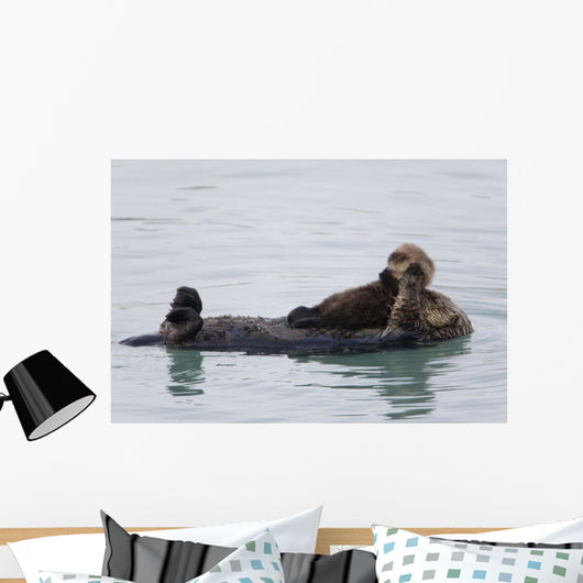 Female Sea Otter Holds Newborn Pup While Floating Wall Mural
