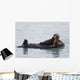 Female Sea Otter Holds Newborn Pup While Floating Wall Mural