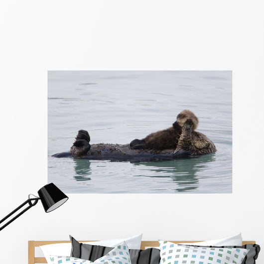 Female Sea Otter Holds Newborn Pup While Floating Wall Mural