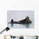 Female Sea Otter Holds Newborn Pup While Floating Wall Mural