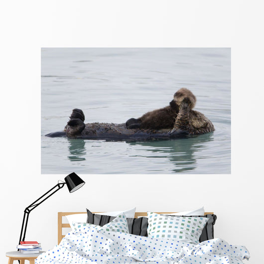 Female Sea Otter Holds Newborn Pup While Floating Wall Mural