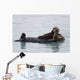 Female Sea Otter Holds Newborn Pup While Floating Wall Mural