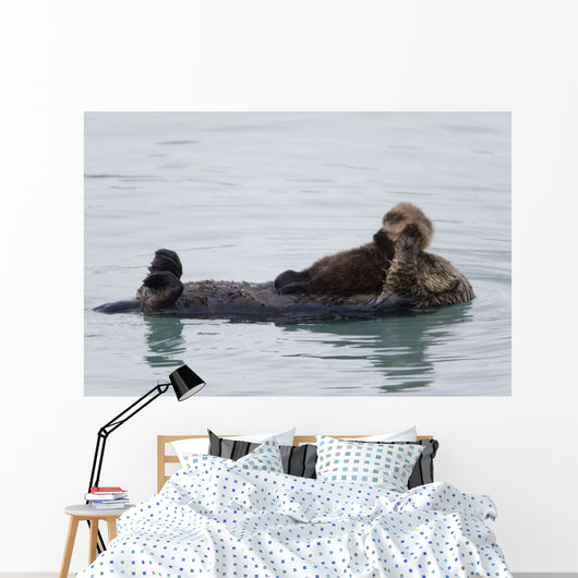 Female Sea Otter Holds Newborn Pup While Floating Wall Mural