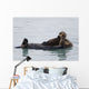Female Sea Otter Holds Newborn Pup While Floating Wall Mural