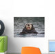 Close Up Of A Sea Otter Swimming On Back In Prince William Sound Wall Mural