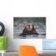 Close Up Of A Sea Otter Swimming On Back In Prince William Sound Wall Mural