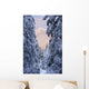 Winter Scenic Of Snow Covered Spruce Trees And Chugach Mountains Wall Mural