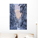 Winter Scenic Of Snow Covered Spruce Trees And Chugach Mountains Wall Mural