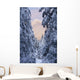 Winter Scenic Of Snow Covered Spruce Trees And Chugach Mountains Wall Mural