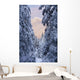 Winter Scenic Of Snow Covered Spruce Trees And Chugach Mountains Wall Mural