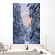 Winter Scenic Of Snow Covered Spruce Trees And Chugach Mountains Wall Mural