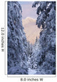 Winter Scenic Of Snow Covered Spruce Trees And Chugach Mountains Wall Mural