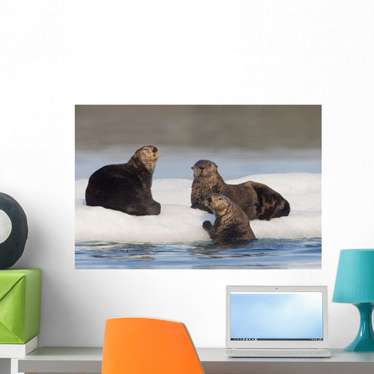 Group Of Sea Otters Hauled Out On Iceberg Wall Mural