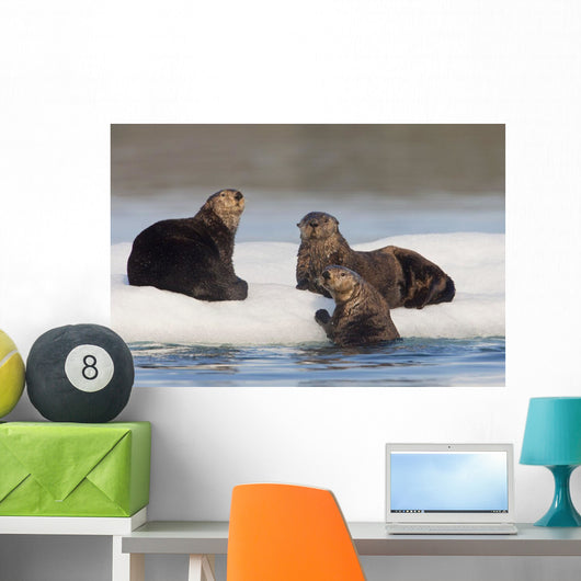 Group Of Sea Otters Hauled Out On Iceberg Wall Mural