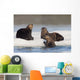 Group Of Sea Otters Hauled Out On Iceberg Wall Mural