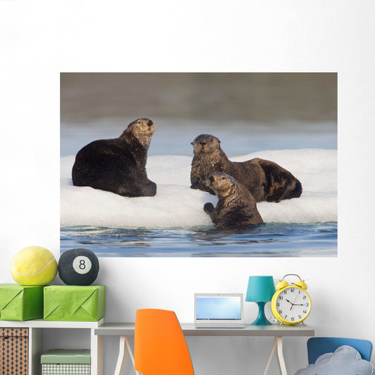 Group Of Sea Otters Hauled Out On Iceberg Wall Mural