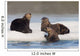 Group Of Sea Otters Hauled Out On Iceberg Wall Mural