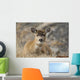 Close Up Of A Sitka Black-Tailed Doe Bedded Down During Winter Wall Mural