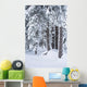 Hemlock Forest Covered With Frost Wall Mural