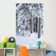Hemlock Forest Covered With Frost Wall Mural