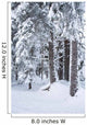 Hemlock Forest Covered With Frost Wall Mural