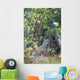 View Of A Wild Canada Lynx Sitting Beneath An Alder Tree Wall Mural