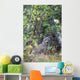 View Of A Wild Canada Lynx Sitting Beneath An Alder Tree Wall Mural