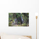 View Of A Wild Canada Lynx Sitting Beneath An Alder Tree Wall Mural