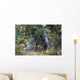 View Of A Wild Canada Lynx Sitting Beneath An Alder Tree Wall Mural