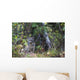 View Of A Wild Canada Lynx Sitting Beneath An Alder Tree Wall Mural