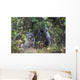View Of A Wild Canada Lynx Sitting Beneath An Alder Tree Wall Mural