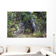 View Of A Wild Canada Lynx Sitting Beneath An Alder Tree Wall Mural