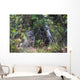 View Of A Wild Canada Lynx Sitting Beneath An Alder Tree Wall Mural