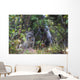 View Of A Wild Canada Lynx Sitting Beneath An Alder Tree Wall Mural