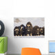 Mature & Young Musk-Ox Bulls With Cows Wall Mural