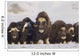 Mature & Young Musk-Ox Bulls With Cows Wall Mural