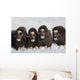 Musk-Ox Cows Wall Mural
